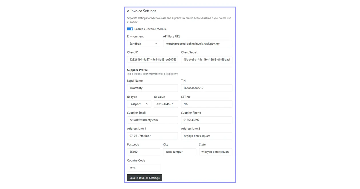 Fill e-Invoice business information